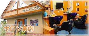 サロン案内
